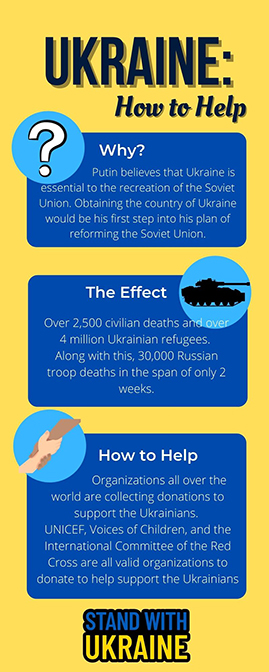 Yellow & Blue Gradient Steps Business Infographic